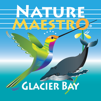 Glacier Bay