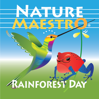 Rainforest Day