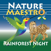 Rainforest Night